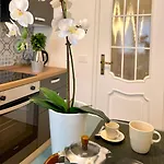Lazy Time Apartman *